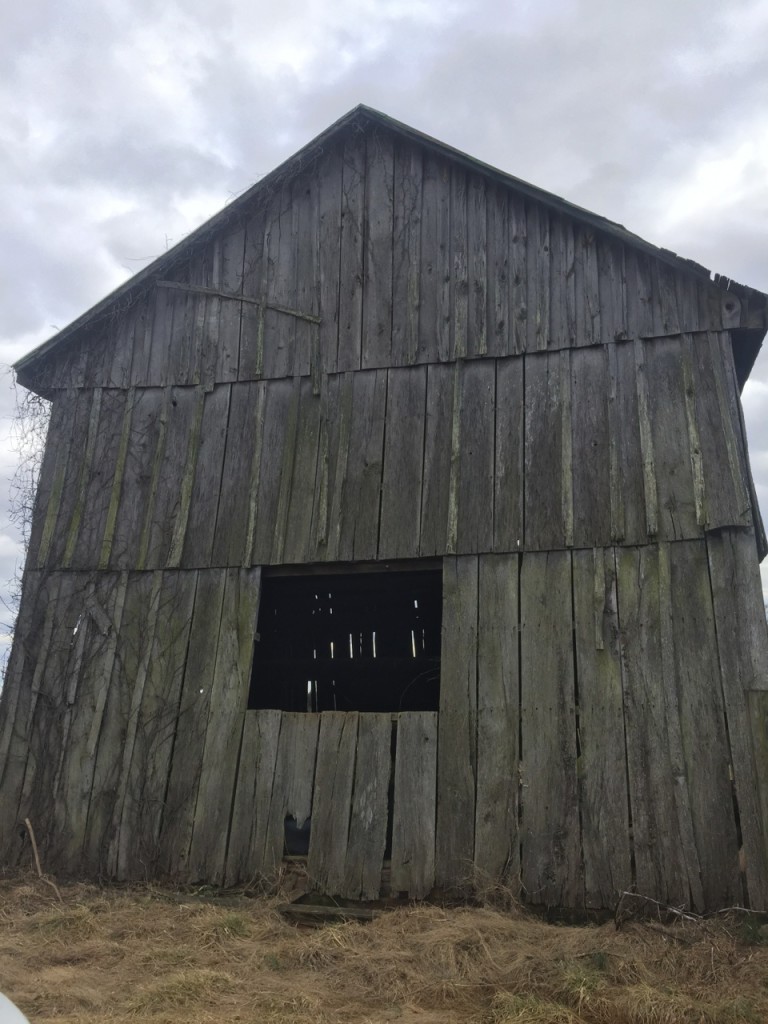 Oak barn wood